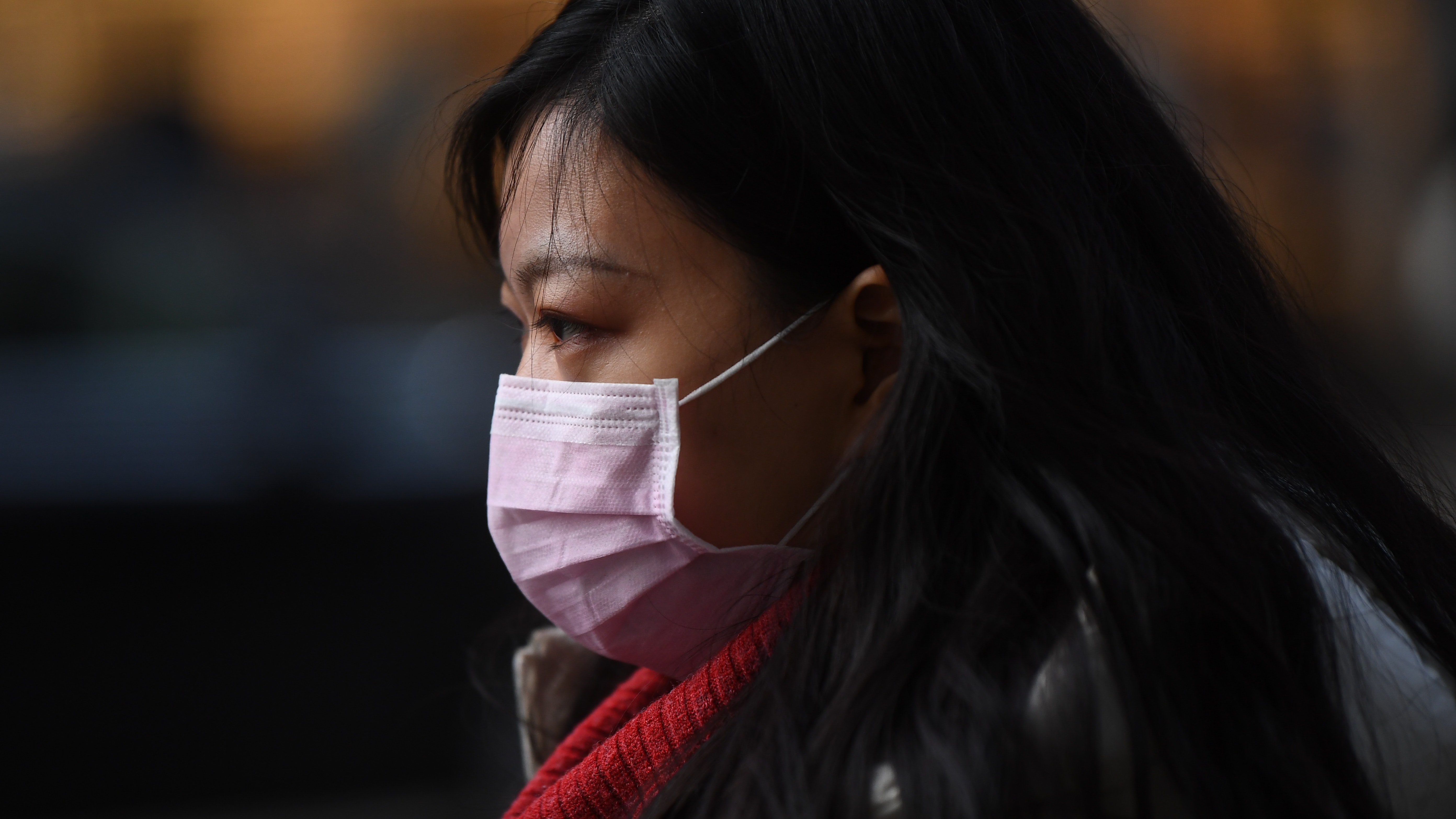 Coronavirus: Dog face mask sales skyrocket in China