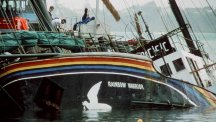 The Rainbow Warrior, its hull holed, listing in Auckland Harbour.