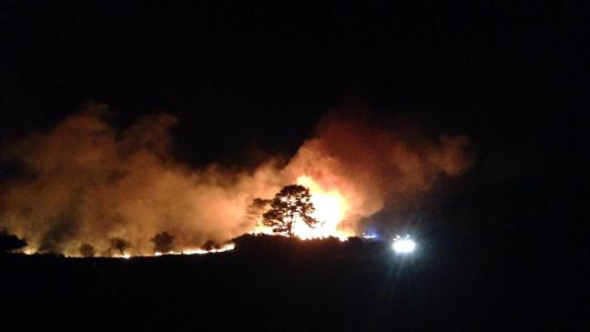 The wildfire has scorched 85,000 hectares of farm and woodland