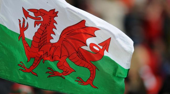 welsh-dragons-actually-existed-136403537163003901-160122170129.jpg