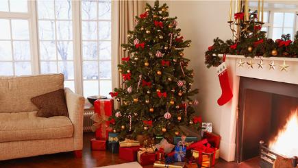 Why do we have Christmas trees? The story behind the festive tradition | BT