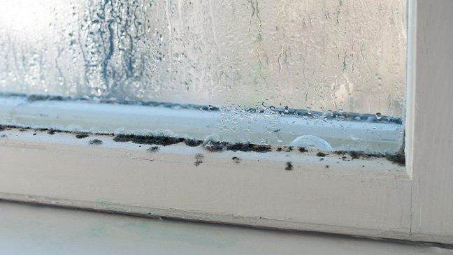 How to get rid of condensation in your home | BT