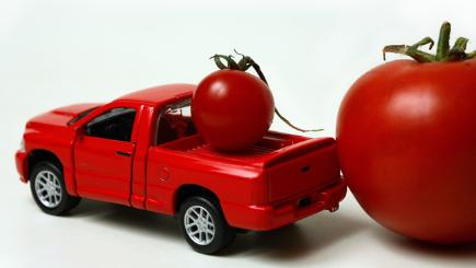 Ford to make car parts out of tomatoes - BT