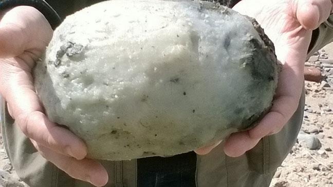 How much could this lump of whale vomit be worth? Tell us